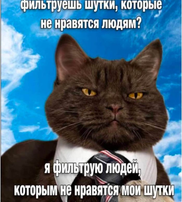 Весёлый полтишок 13.03.25