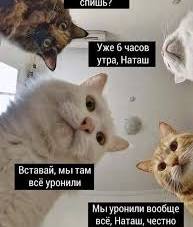 Романы кручу, замуж не хочу.