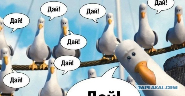 Жена не даёт