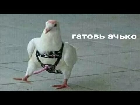 Мир видимо сошел с ума
