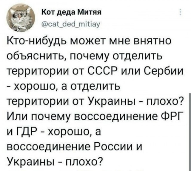 20335298.png