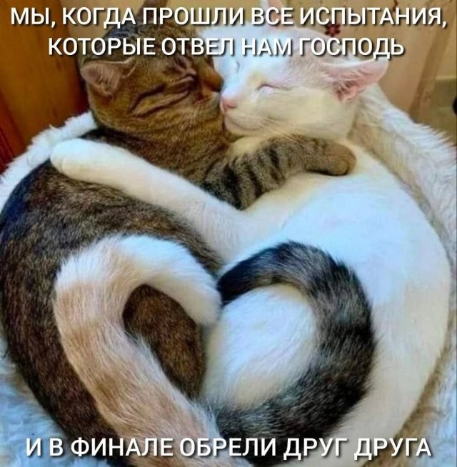 Чучуть картинок разных