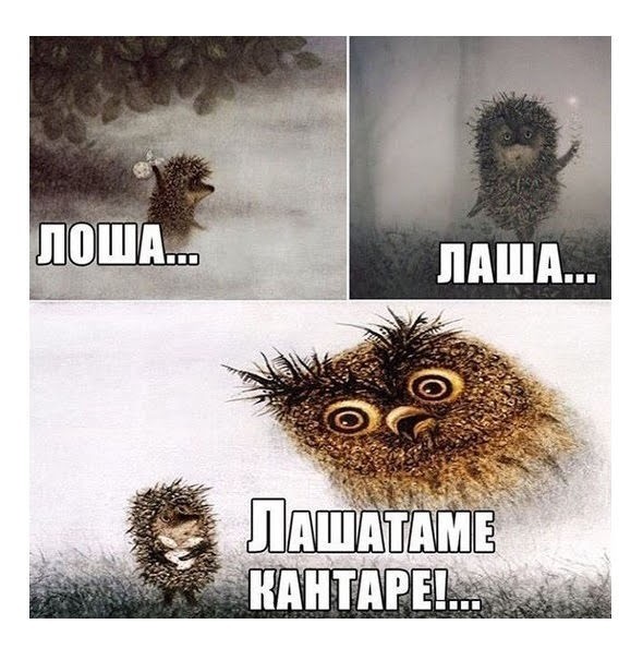 Отсутствие морально этических норм Vol.52