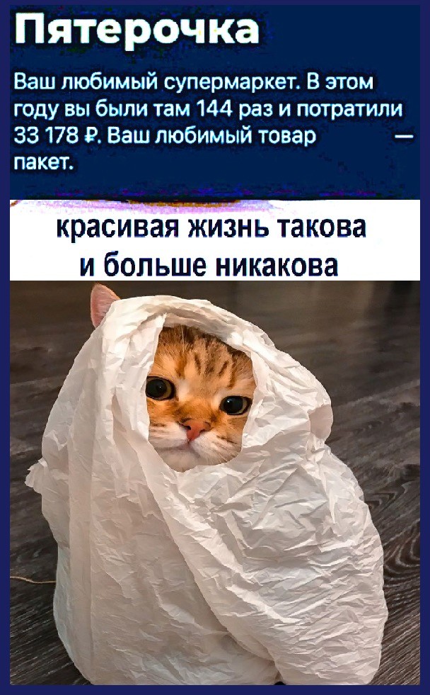 К котовторнику: подборка картинок-баянов с котиками и про котиков. Выпуск 23.