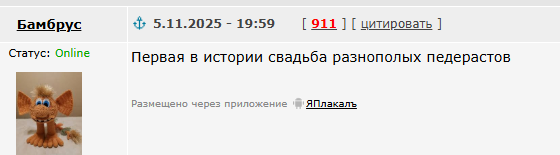 Мизулина и Шаман поженились в Донецке