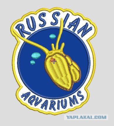Выставка клуба "Русские Аквариумы"2026