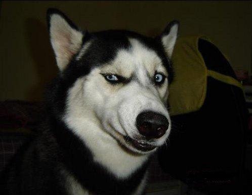 Дама в 35 лет пытается наладить свою личную жизнь