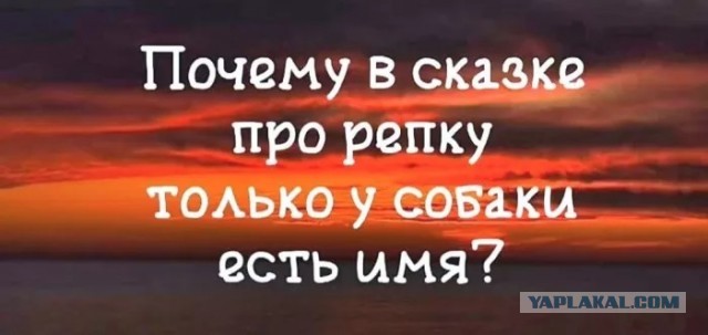 Картинки для деградации 153 (разной степени свежести)