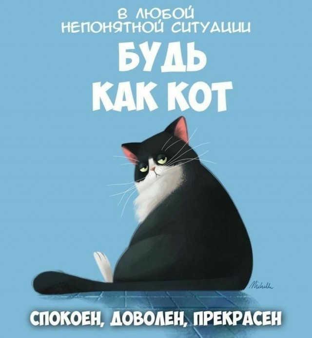 К котовторнику: подборка картинок-баянов с котиками и про котиков. Выпуск 37.