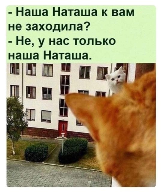 Картинки для улыбки 2