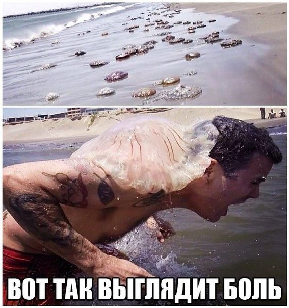 Смешные картинки