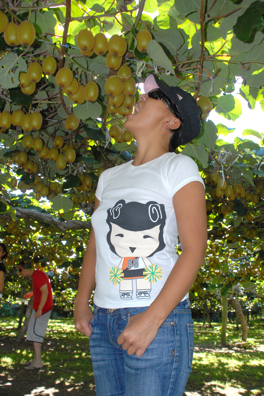 Новая Зеландия и Киви