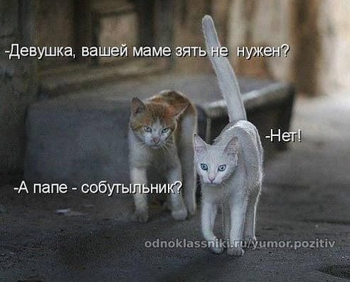Смешные комментарии из социальных сетей 02.08.14