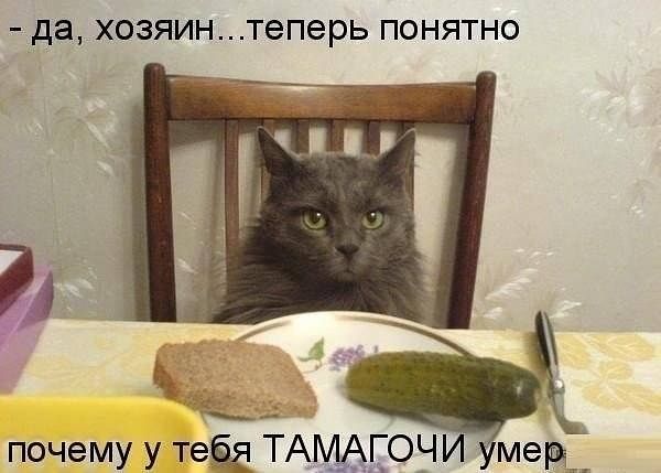 Прикольные картинки на понедельник .