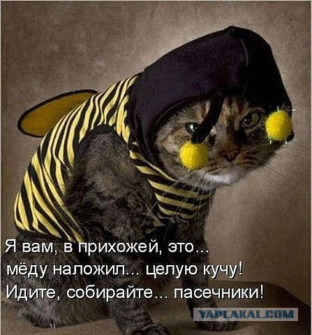 Поднимаем настроение