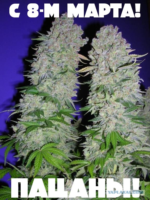 C 8 Марта!