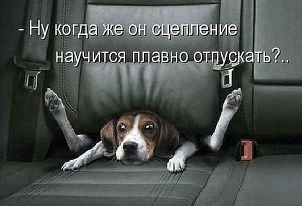 Смешные комменты из соцсетей