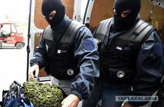 Почему бы не Пожабить?) 18+