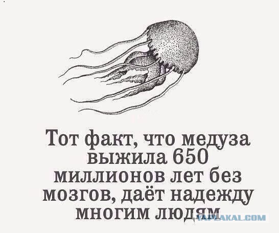 О чем пишут девушки - глубоко философские мысли