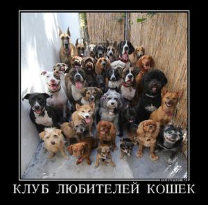 Собаки - прекрасные мамы!