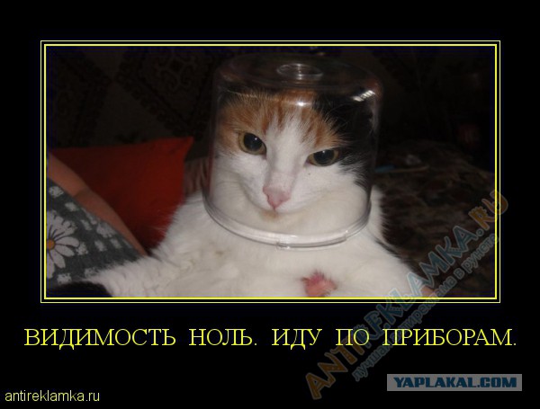 Чистить машину? Не женское дело, так поеду!