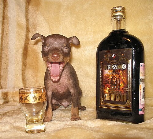 Не унывай!