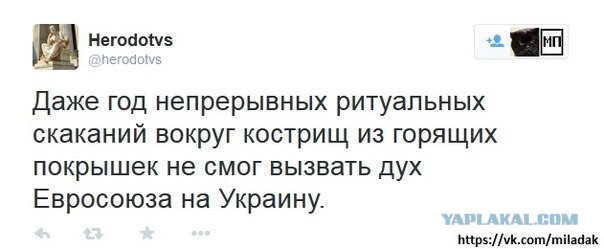 Солянка политическая #8
