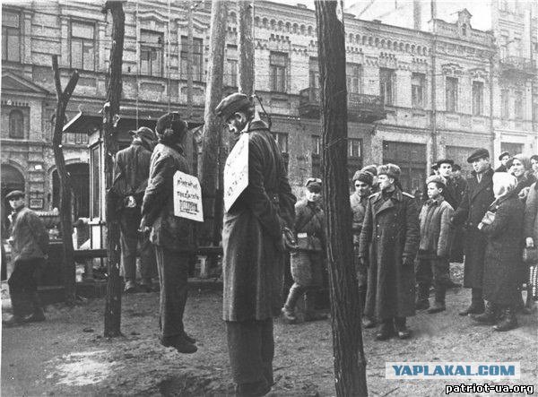 ''В украинской армии нет фашистов''