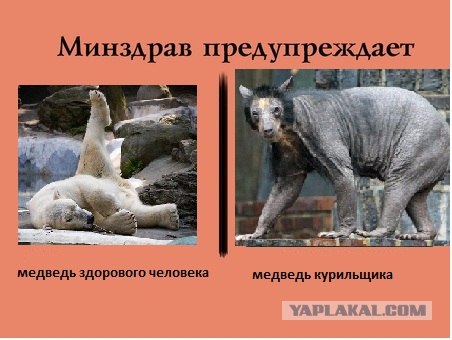 минздрав предупреждает порнография томными стонами