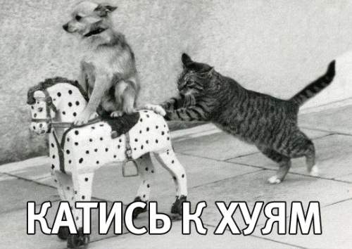 Безумная история про бегущих русских !