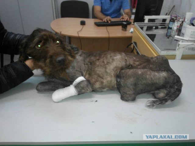 Доброта за чужой счет