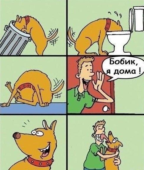 Веселые картинки
