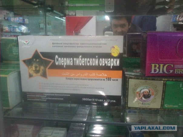 Злые шутки или минутка сарказма на ЯП-е, 16+