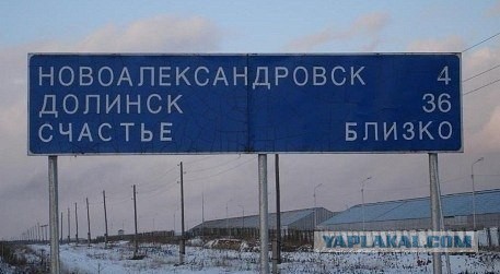 Подборка картинок 01.03.16