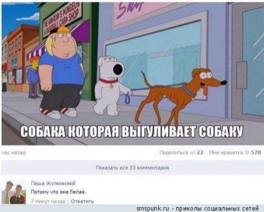 Ужасы и приколы из соцсетей
