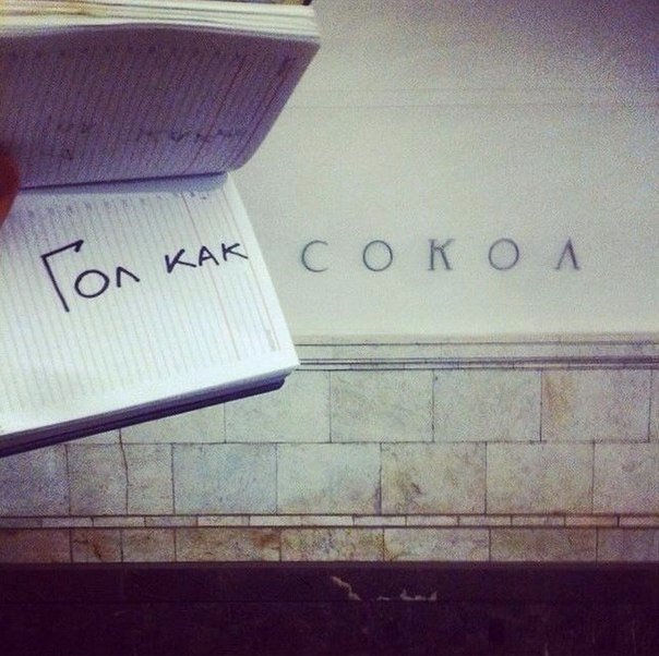 Подборка интересных и веселых фото