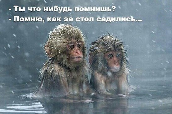 Улыбнемся?