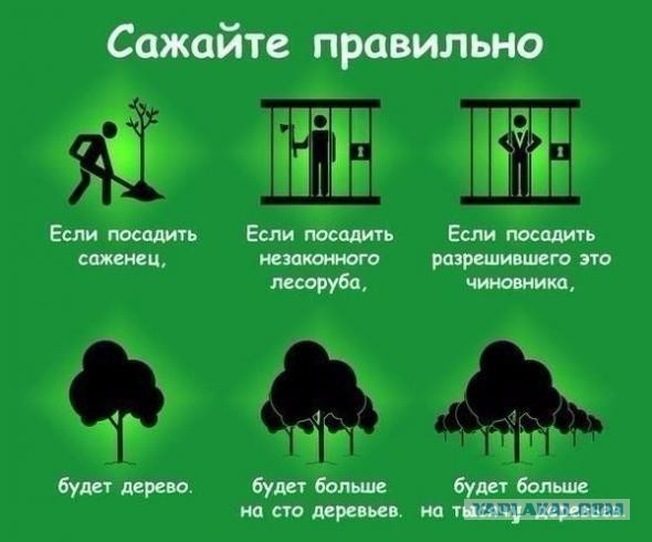 Кудрин предложил увеличить пенсионный возраст до 63 лет для мужчин и женщин