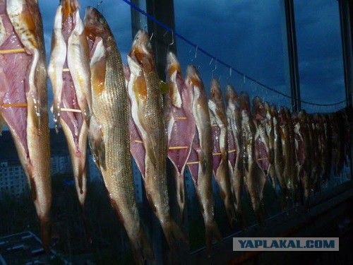 Кухня (кулинарное и околокулинарное общение)