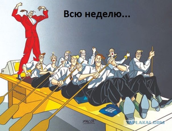 Скарификатор перикарда ОГЫ ибн JUS