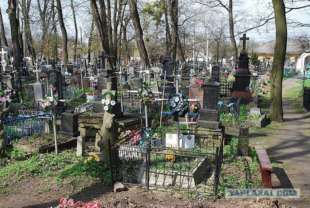 Я работаю в "чёрную". И не жалею. А "Правительство" со своими дебильными законами идёт на*уй