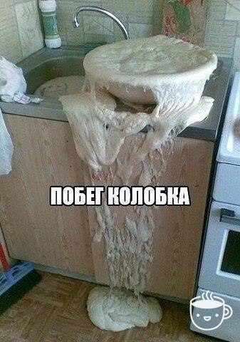 Смешные картинки из сети на 19.11.16
