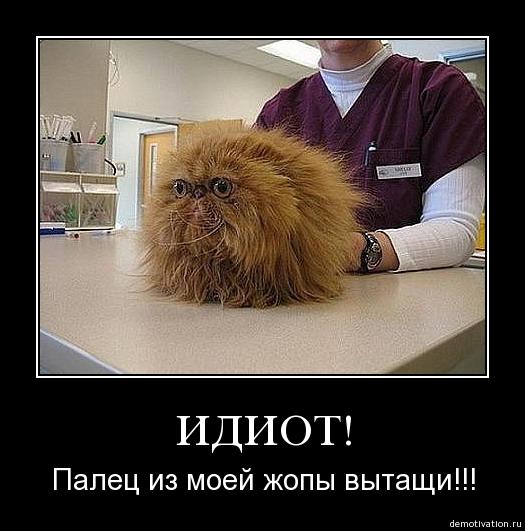 Он на 80% состоит из глаз (7 ми-ми)