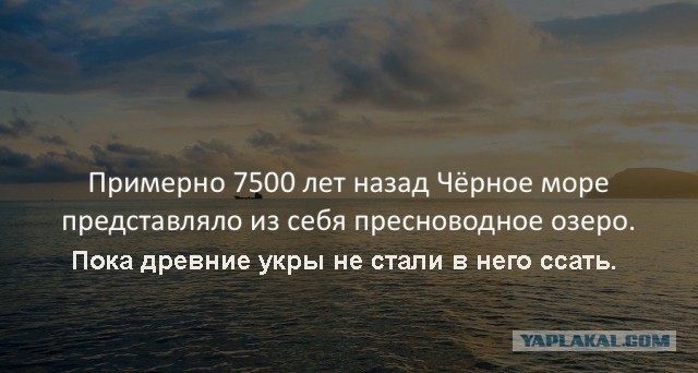 30 занимательных фактов