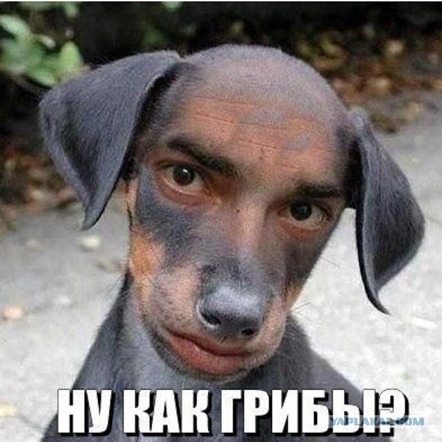 Проснулся. Посмотрел на жену