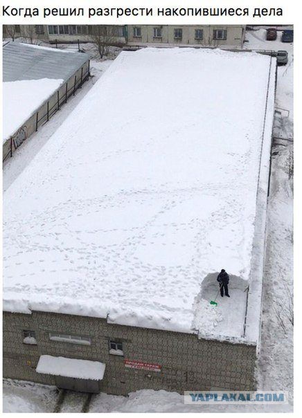 Забавная всячина