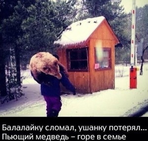 Обычный день в России: медведь помогает на даче сажать картошку