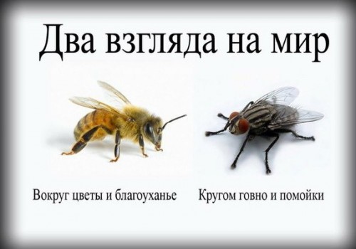 Еще одна страна, которой "помогли" США