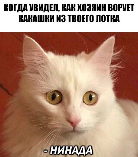 134 картинки для поднятия настроения!