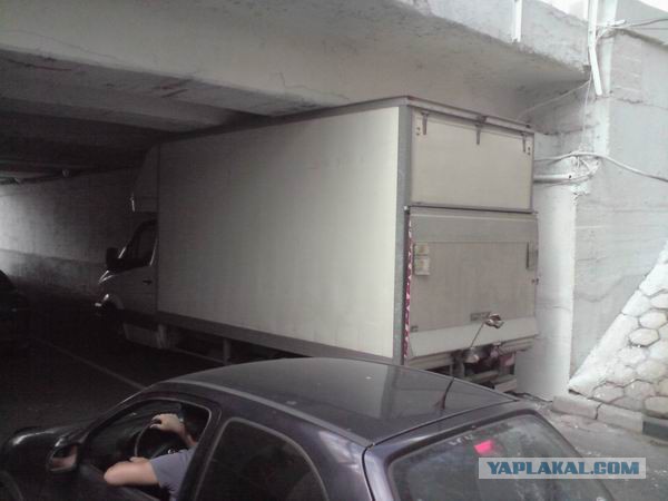 А что? А вдруг!